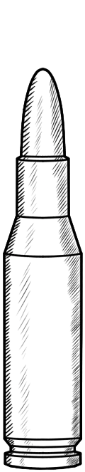 bullets