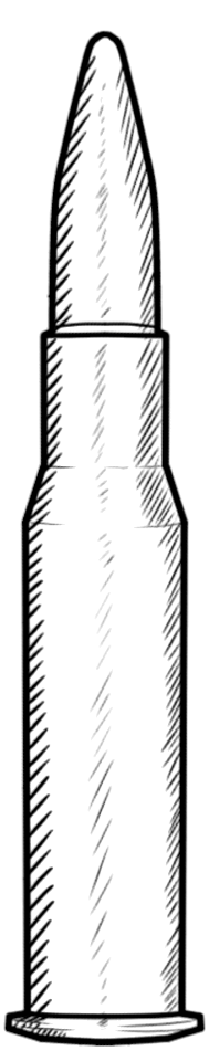bullets