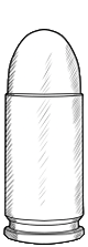 bullets