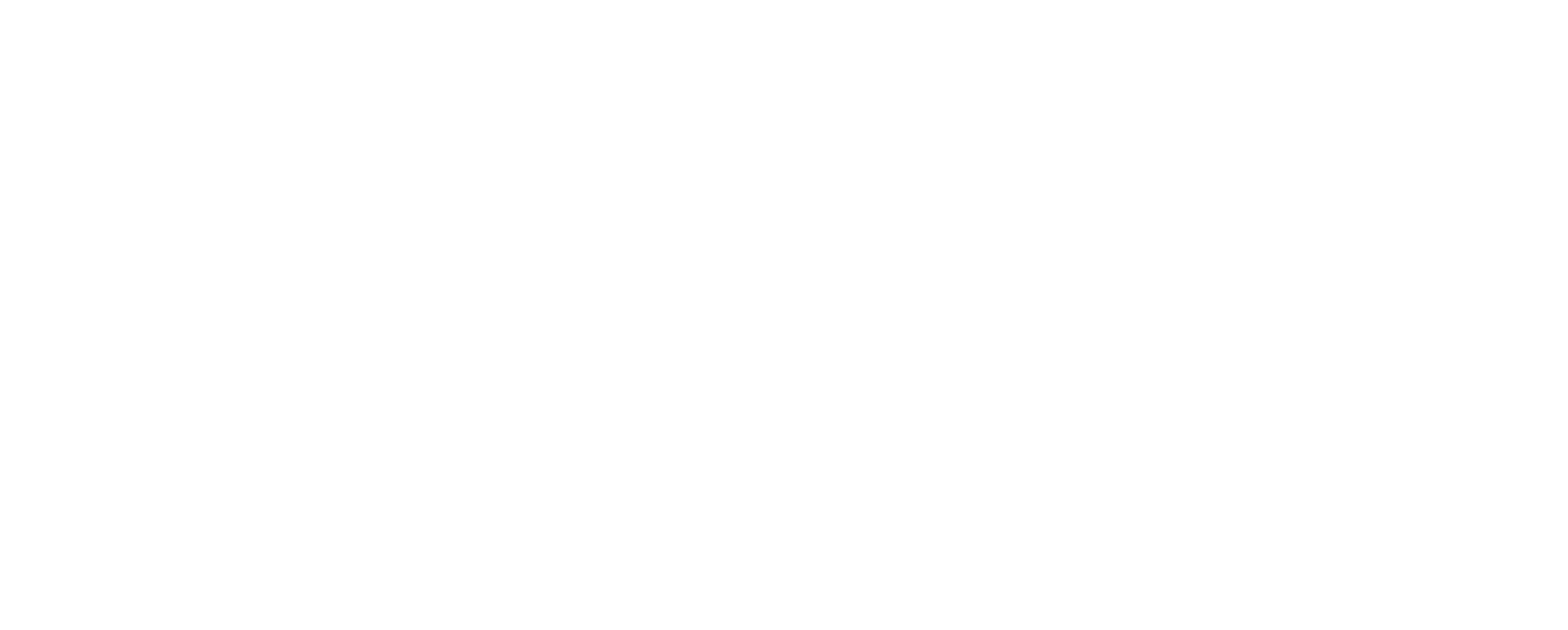 Main Logo